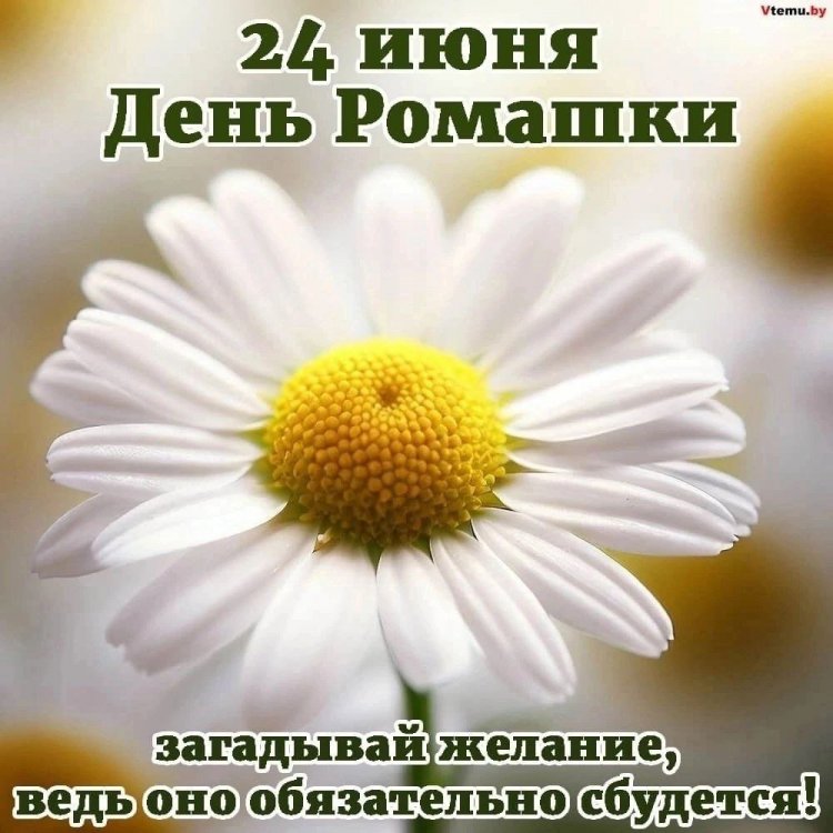 img (1)